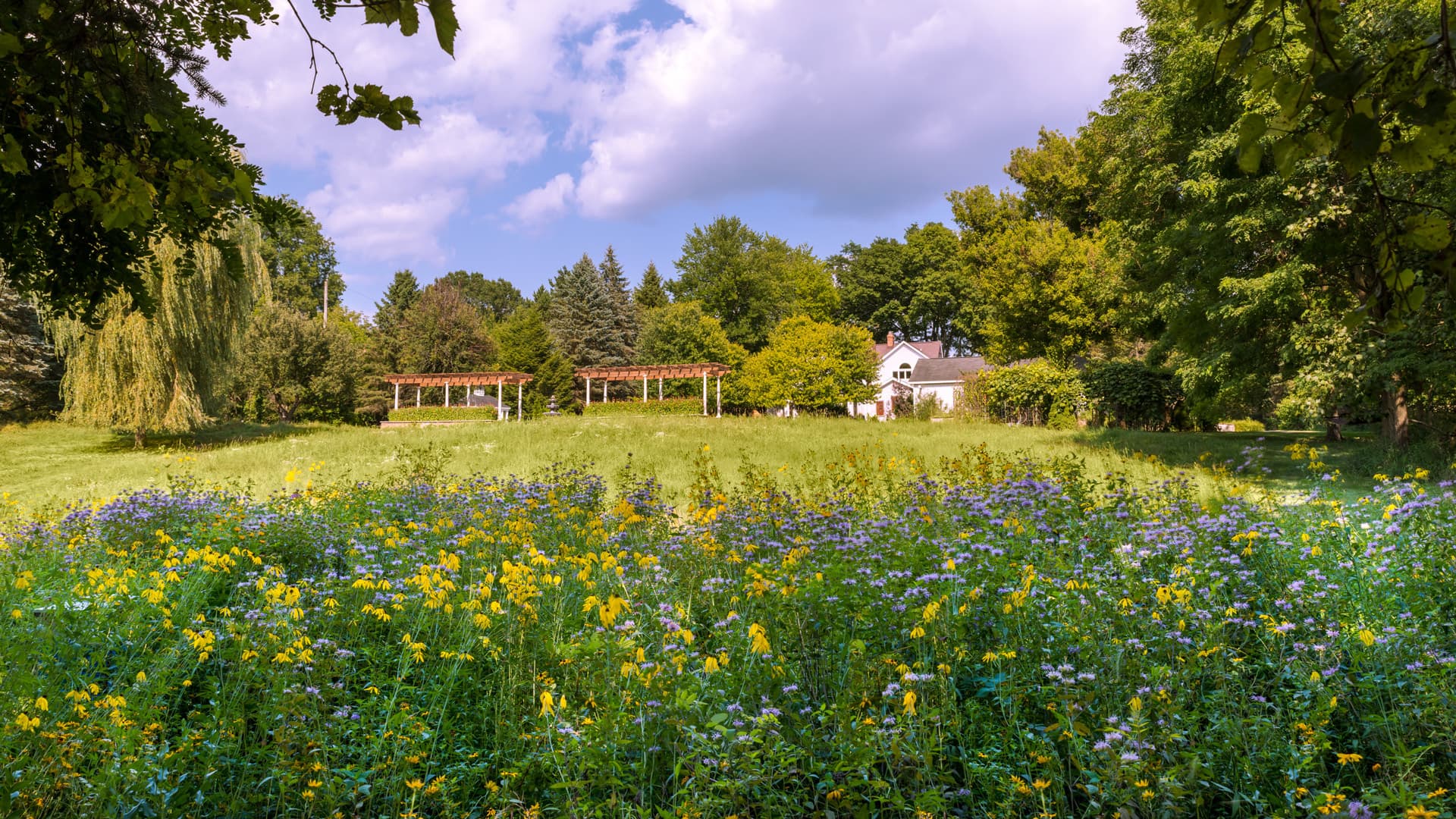A vibrant field of wildflowers in the foreground with a house and trellis structure surrounded by trees in the background.