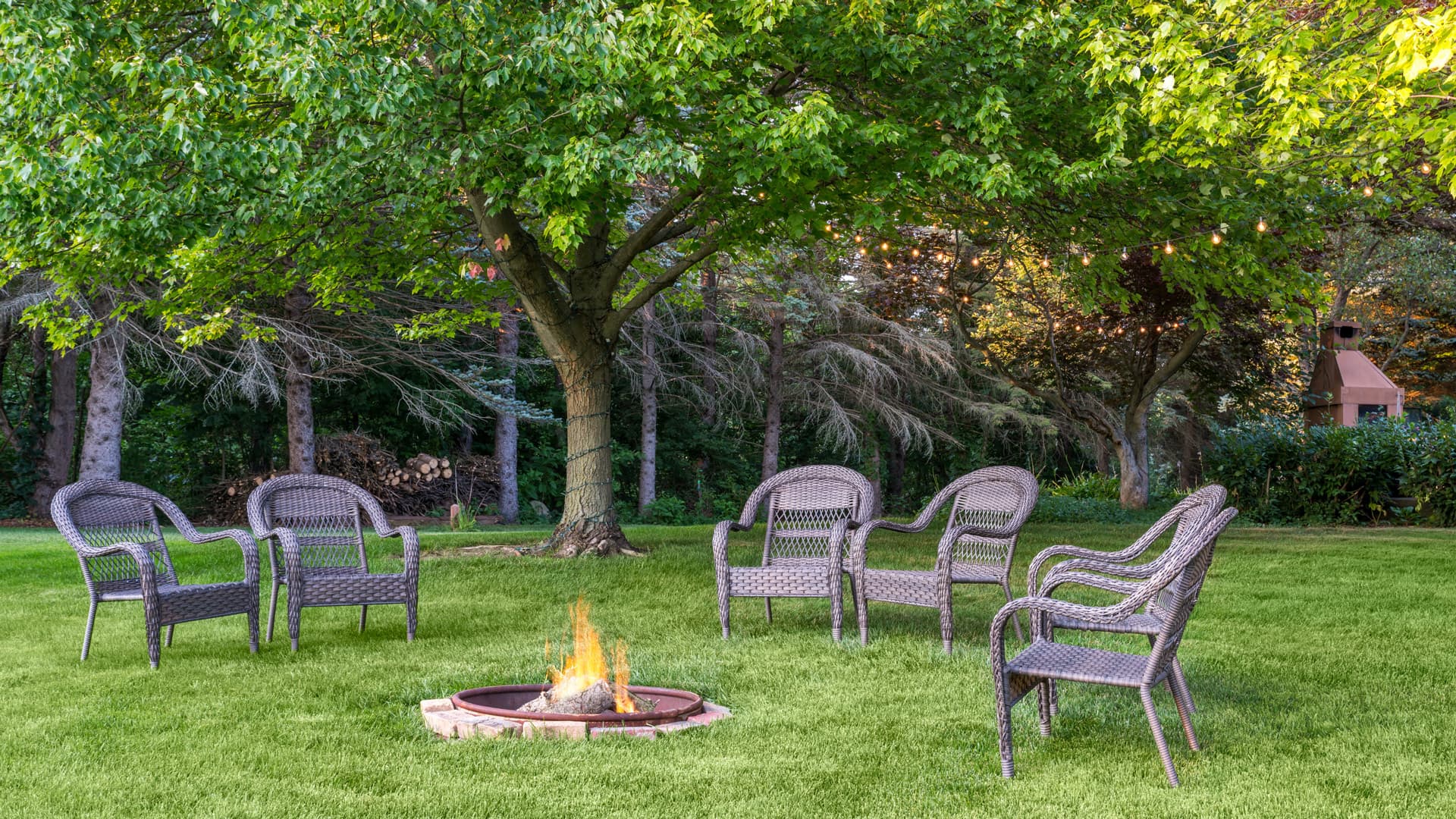 A circle of woven chairs around a fire pit under a large tree in a grassy backyard.