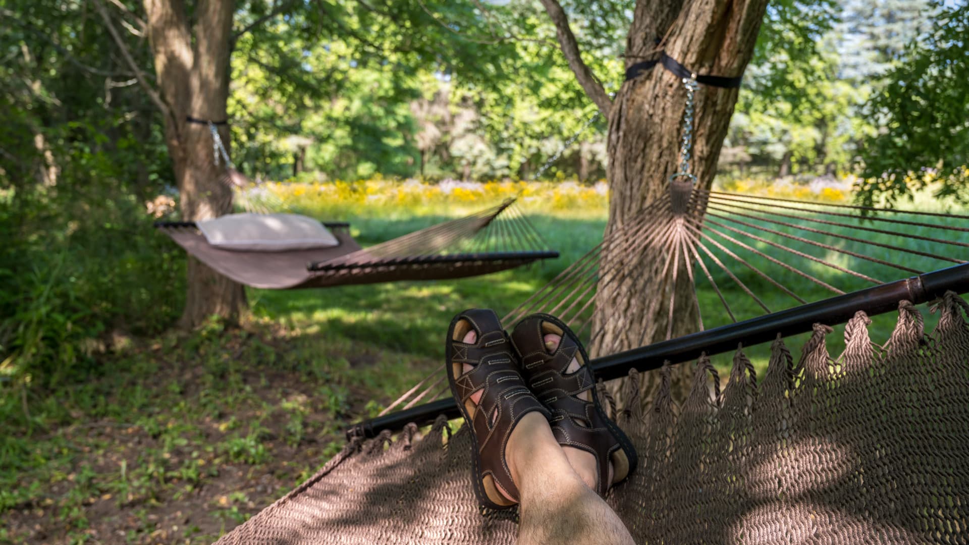 A person relaxing in a hammock with feet visible, surrounded by trees and a sunny meadow.