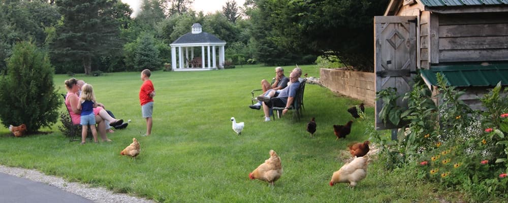 A family enjoys a relaxed gathering in a grassy yard, surrounded by chickens and a gazebo.
