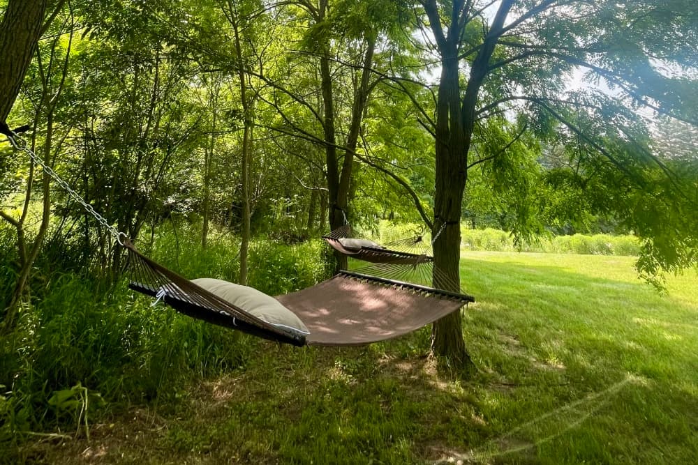 Two hammocks are hung between trees in a lush green setting.