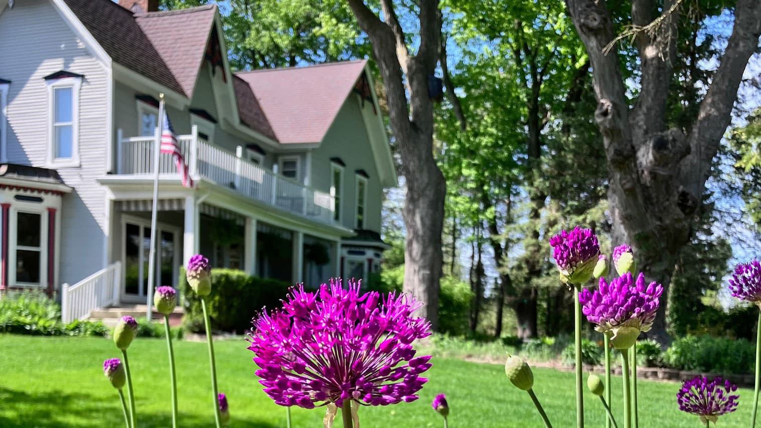 A blooming purple flower stands in the foreground of a picturesque house surrounded by trees and a well-manicured lawn.