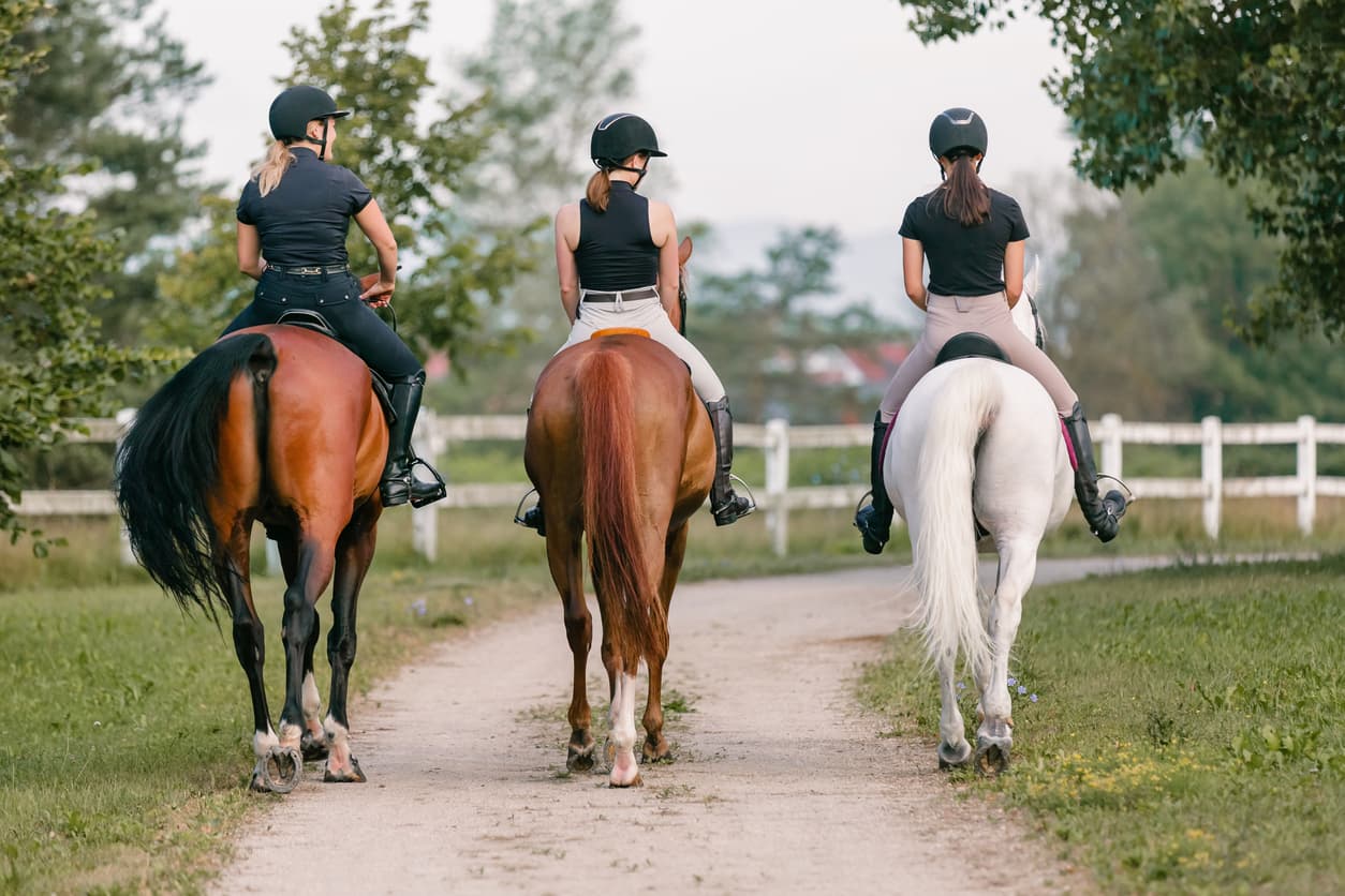 Three riders on horseback walking along a grassy path. Three riders on horseback walking along a grassy path.
