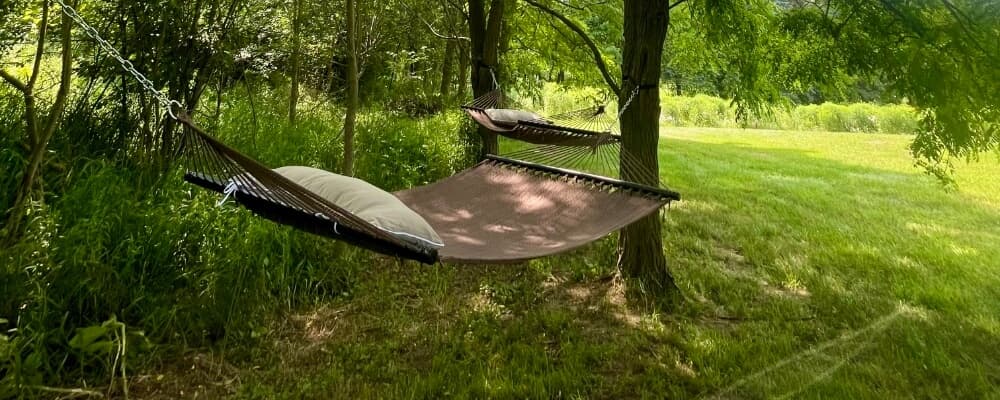 Two hammocks strung between trees in a lush, green yard.