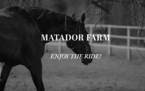 Matador Farm, Oxford, Stags Leap Farm Partner